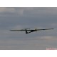 Cheetah R 1750mm ARF