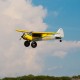 Carbon Cub S+ 1.3m BNF Basic