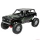 1/10 Wraith 1.9 4WD Brushed RTR, Black