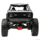 1/10 Wraith 1.9 4WD Brushed RTR, Black