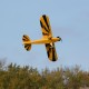 Clipped Wing Cub 1.2m PNP