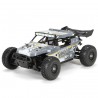 1/18 Roost 4WD Desert Buggy RTR