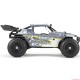 1/18 Roost 4WD Desert Buggy RTR