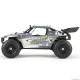 1/18 Roost 4WD Desert Buggy RTR