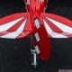 Pitts S-2B 50-60cc