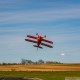 Pitts S-2B 50-60cc