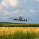 P-47D Thunderbolt 20cc ARF 67"