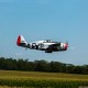 P-47D Thunderbolt 20cc ARF 67"