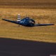 F6F Hellcat 15cc ARF